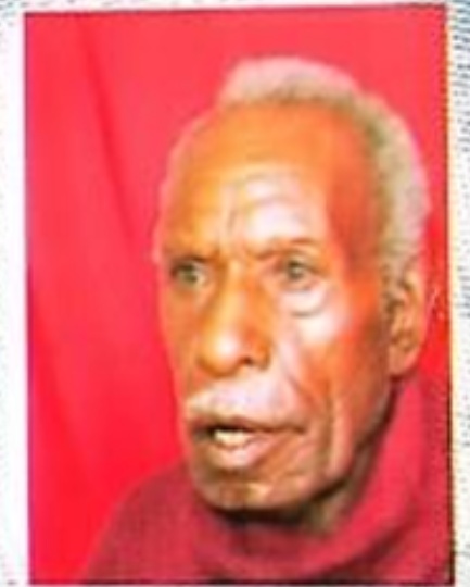 TARENIS KOGOYA